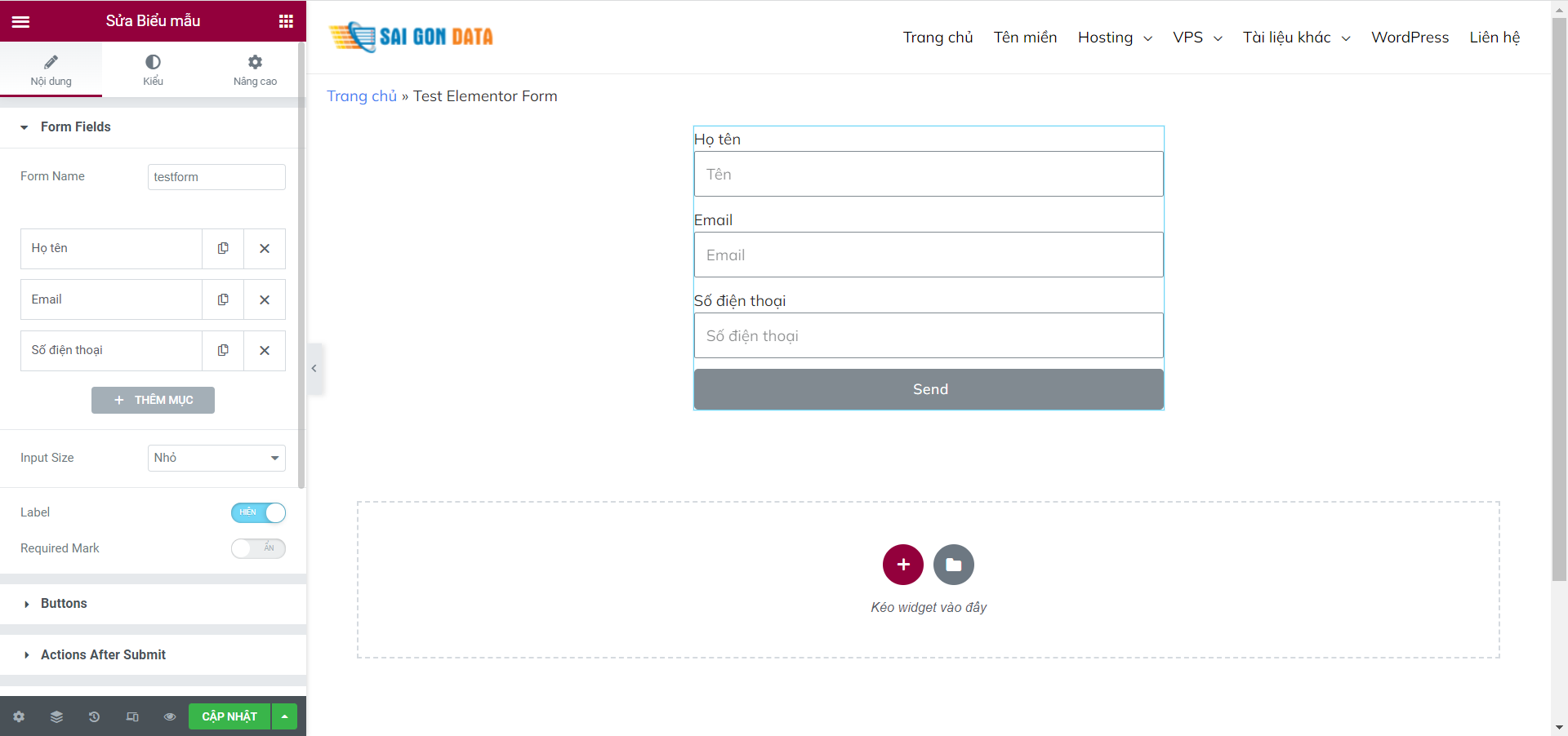 elementor form