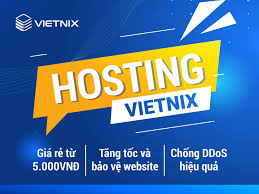 Vietnix Khuyến Mãi Tháng 8/2025: Săn Deal HOT Hosting & VPS Giảm Đến 50% - Cơ Hội Vàng Nâng Cấp Website!