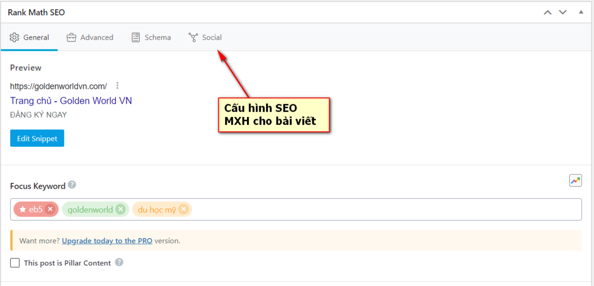 sai gon data cau hinh seo mxh 2
