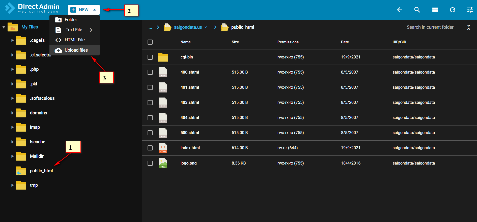 upload file
